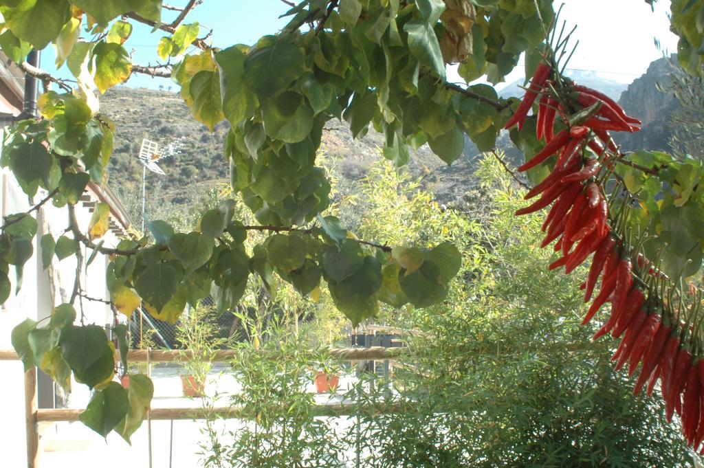 Cortijo Los Cahorros Sierra Nevada Monachil Zewnętrze zdjęcie