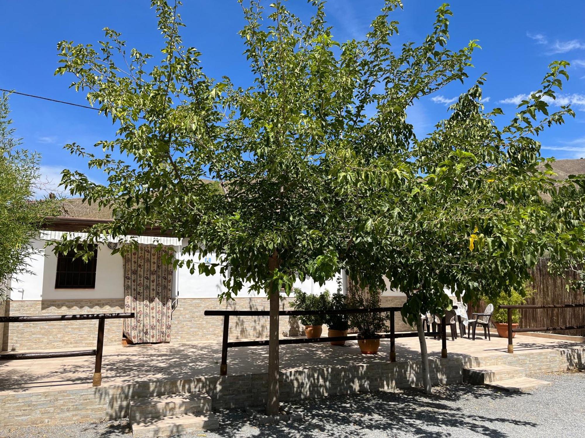 Cortijo Los Cahorros Sierra Nevada Monachil Zewnętrze zdjęcie